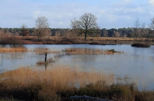 doorstap gorsslese heide