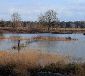 doorstap gorsslese heide mec thumb 300 268